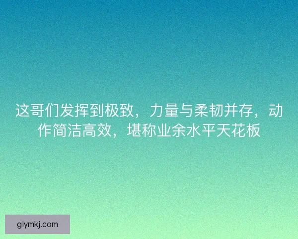 这哥们发挥到极致，力量与柔韧并存，动作简洁高效，堪称业余水平天花板
